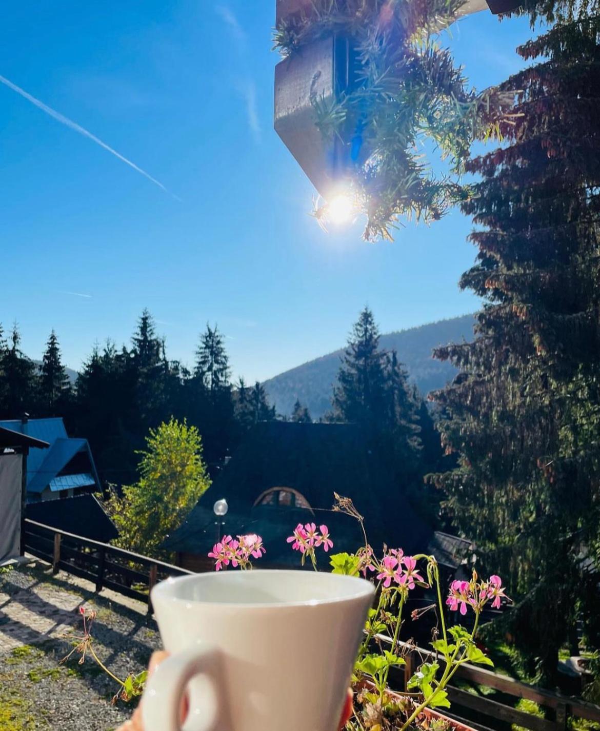 Pensiunea Panoramic Panzió Vártop Kültér fotó