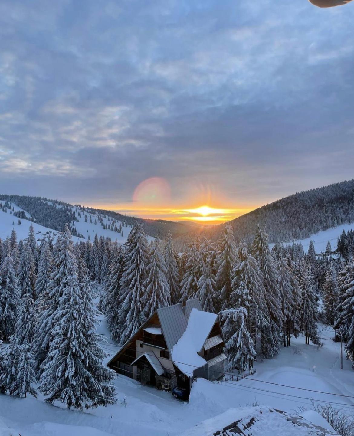 Pensiunea Panoramic Panzió Vártop Kültér fotó