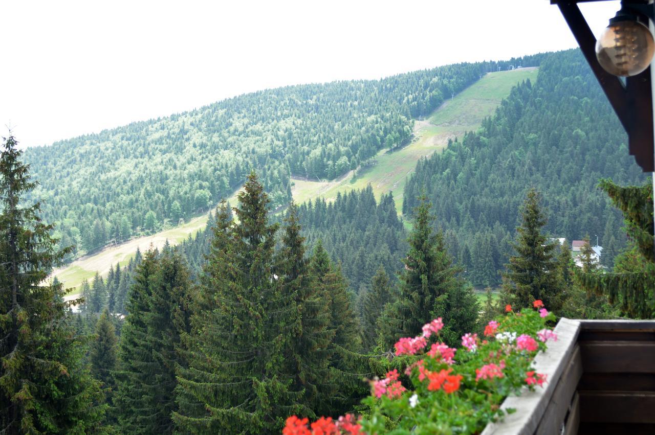 Pensiunea Panoramic Panzió Vártop Kültér fotó