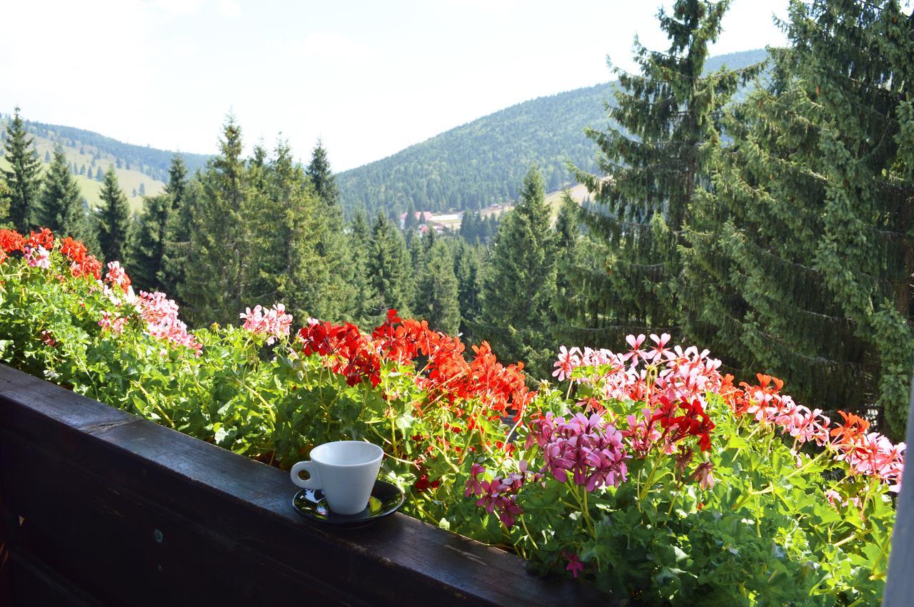 Pensiunea Panoramic Vártop Kültér fotó